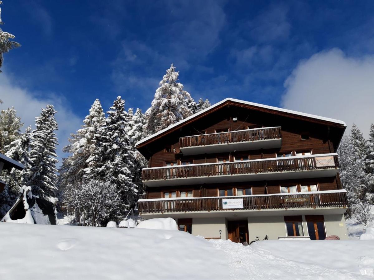 Laerchenwald Lodge Bellwald Eksteriør bilde