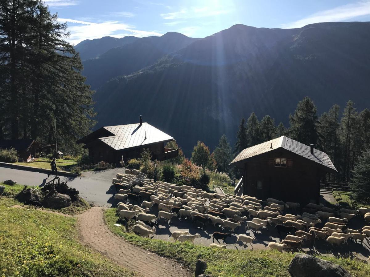 Laerchenwald Lodge Bellwald Eksteriør bilde