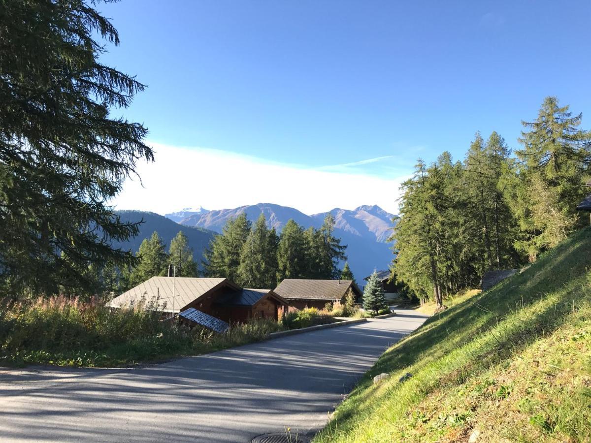Laerchenwald Lodge Bellwald Eksteriør bilde